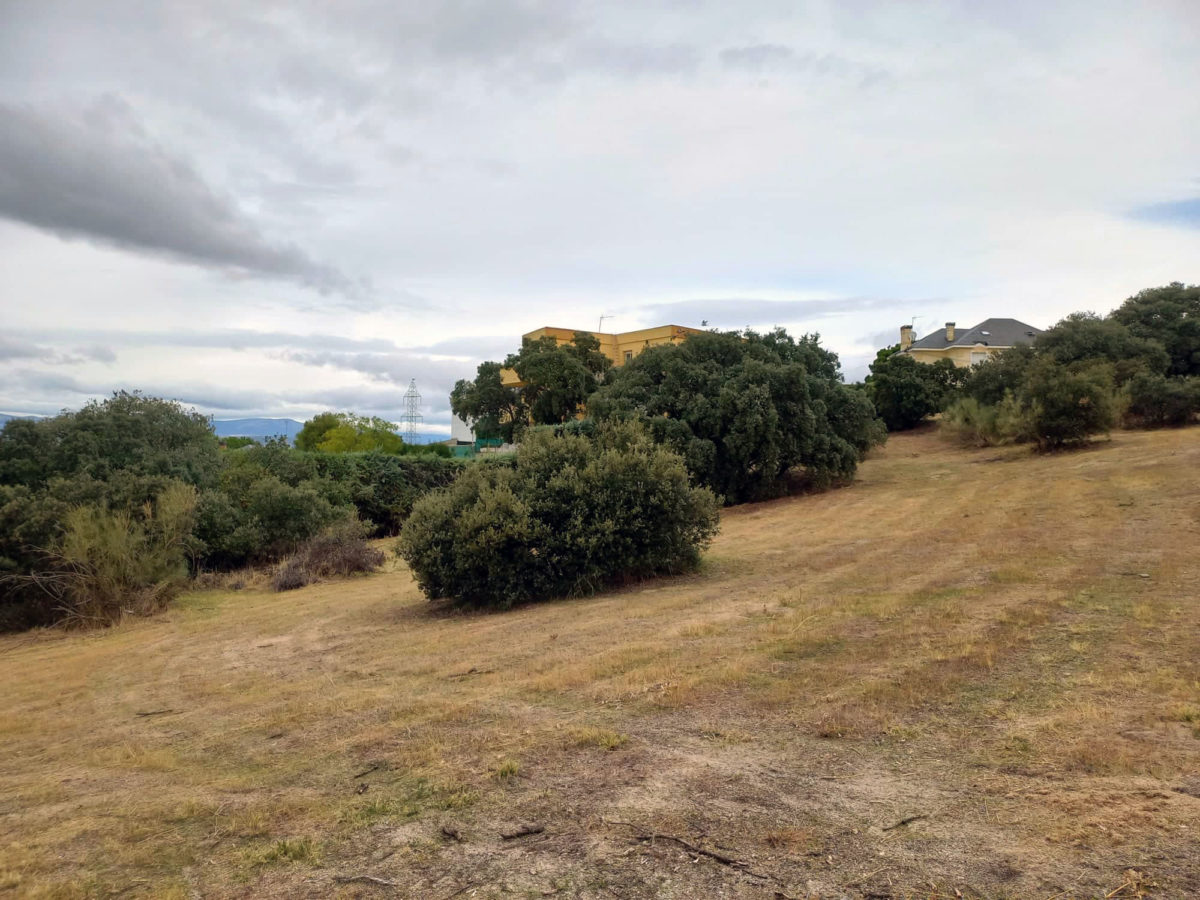 01.2_Implantarse en el Terreno Nacho Gias Estudio